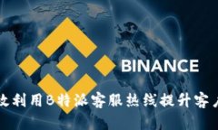 如何有效利用B特派客服热线提升客户