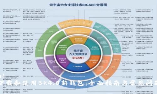 ```xml
如何下载和使用BK4.0新钱包:全面指南与常见问题解答