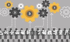  虚拟币钱包的全面解析: 了解数字资产