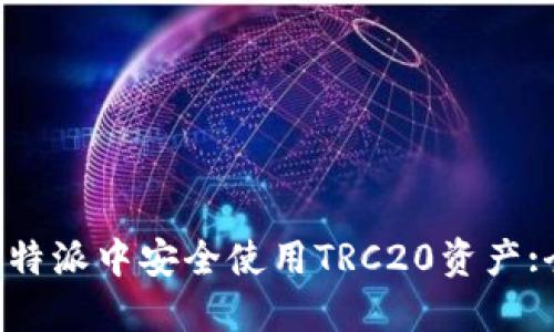 如何在B特派中安全使用TRC20资产:全面指南