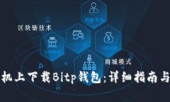 如何在苹果手机上下载Bitp钱包：详细指南与常见