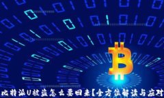 比特派U被盗怎么要回来？全方位解读
