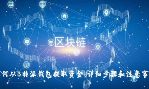 如何从B特派钱包提取资金:详细步骤和注意事项