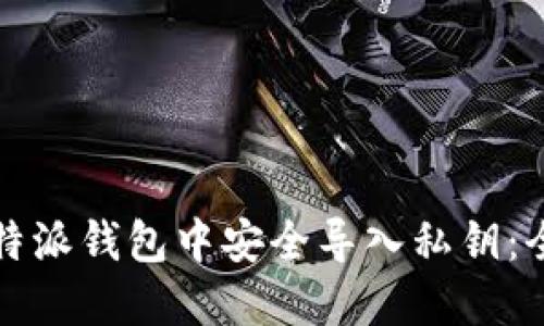 如何在比特派钱包中安全导入私钥:全方位指南