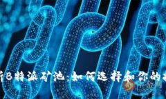 全面解析B特派矿池：如何选择和你的