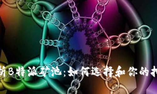 全面解析B特派矿池:如何选择和你的挖矿体验