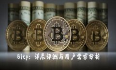 Bitp: 详尽评测与用户需求分析