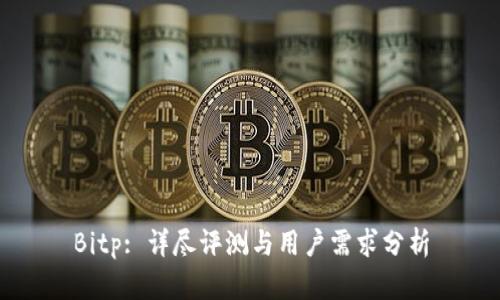 Bitp: 详尽评测与用户需求分析