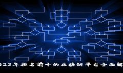 2023年排名前十的区块链平台全面解析