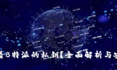 **如何查看B特派的私钥？全面解析与安