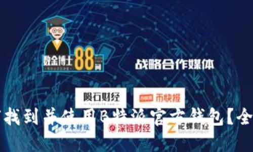 如何找到并使用B特派官方钱包?全指南