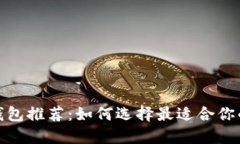 安全可靠的虚拟币钱包推荐：如何选择