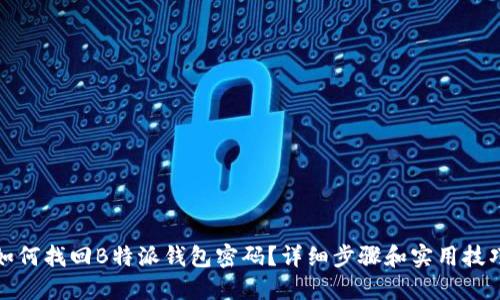 如何找回B特派钱包密码?详细步骤和实用技巧