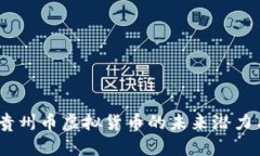 深入解析：贵州币虚拟货币的未来潜力