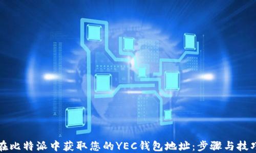 如何在比特派中获取您的YEC钱包地址:步骤与技巧详解