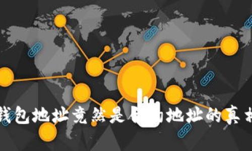 揭秘:B特派钱包地址竟然是合约地址的真相与应用分析