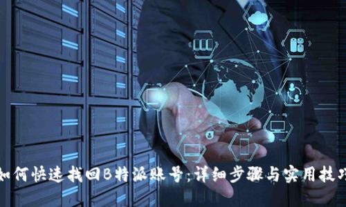 如何快速找回B特派账号:详细步骤与实用技巧