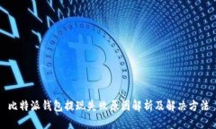 比特派钱包提现失败原因解析及解决方