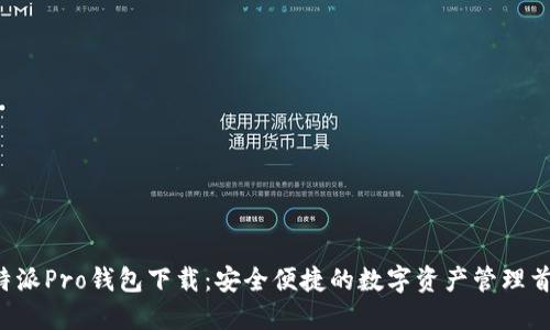 B特派Pro钱包下载:安全便捷的数字资产管理首选