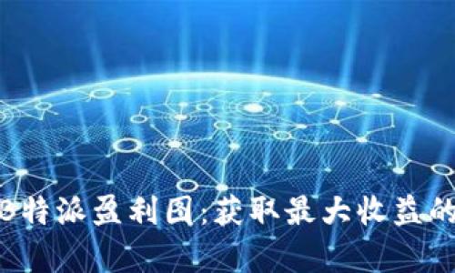 全面剖析B特派盈利图：获取最大收益的关键策略