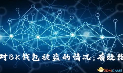 如何应对BK钱包被盗的情况:有效维权指南