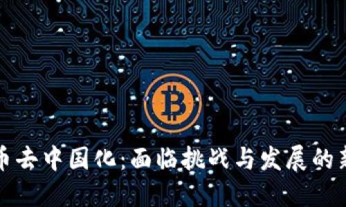虚拟币去中国化:面临挑战与发展的新机遇