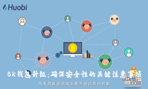 BK钱包升级:确保安全性的关键注意事项