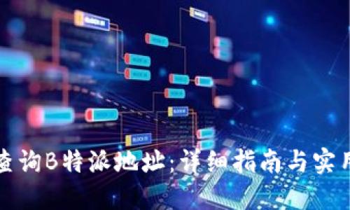 如何查询B特派地址：详细指南与实用技巧