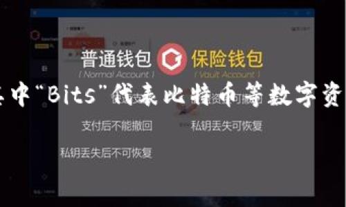 BitP钱包是一种数字货币钱包，专门用于存储、发送和接收各种加密货币。它通常用字母“BitP”来表达，其中“Bits”代表比特币等数字资产，而“P”则可能指代“钱包”或“平台”。通过这种钱包，用户可以安全地管理他们的加密资产，并进行交易。

如果你对BitP钱包有更具体的问题或需要更深入的信息，请告诉我！