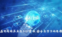 在何处购买正品BitP密钥：安全与信任