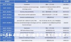 RCN与RDN虚拟币深度解析：投资价值与市