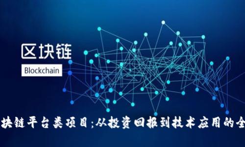 掌握区块链平台类项目:从投资回报到技术应用的全面解析