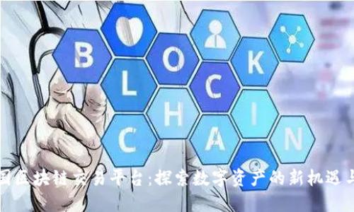 蒙古国区块链交易平台:探索数字资产的新机遇与挑战
