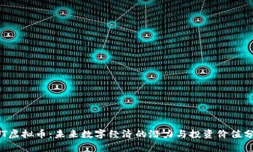 RVT虚拟币:未来数字经济的潜力与投资价值分析
