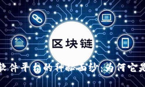 揭开石城正规区块链软件平台的神秘面纱:为何它是赋能企业的最佳选择