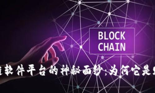 揭开石城正规区块链软件平台的神秘面纱:为何它是赋能企业的最佳选择