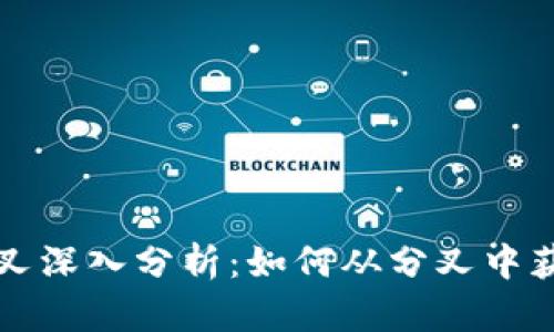 比特派发分叉深入分析：如何从分叉中获取更多收益