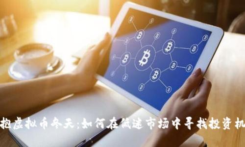 拥抱虚拟币冬天：如何在低迷市场中寻找投资机会
