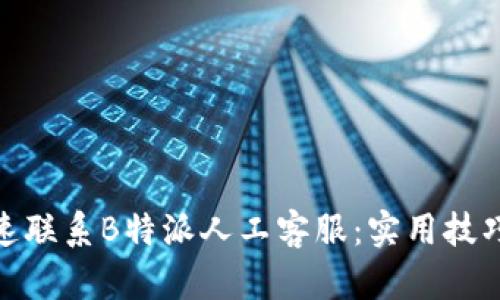 如何快速联系B特派人工客服:实用技巧与步骤