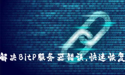 如何解决BitP服务器错误,快速恢复服务
