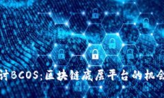 深入探讨BCOS：区块链底层平台的机会