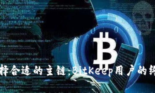 如何选择合适的主链：BitKeep用户的终极指南