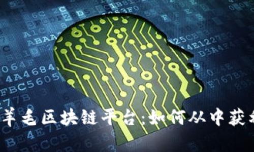 2023年最佳薅羊毛区块链平台:如何从中获利并最大化收益