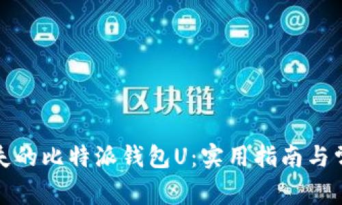 如何找回丢失的比特派钱包U:实用指南与常见问题解答