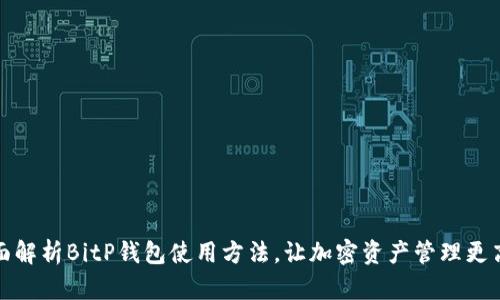 全面解析BitP钱包使用方法，让加密资产管理更高效