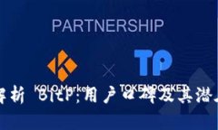 深入解析 BitP：用户口碑及其潜在收益