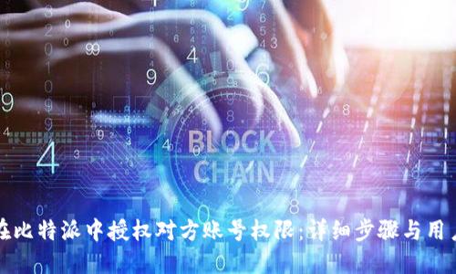 如何在比特派中授权对方账号权限：详细步骤与用户指南