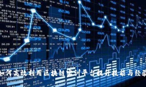 如何高效利用区块链实训平台提升技能与经验