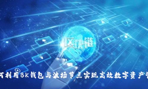 如何利用BK钱包与波场节点实现高效数字资产管理