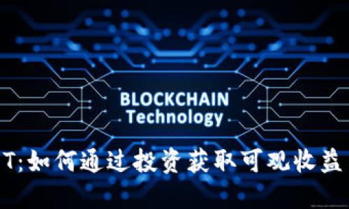 虚拟币SOOT:如何通过投资获取可观收益与风险评估
